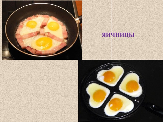 ЯИЧНИЦЫ 