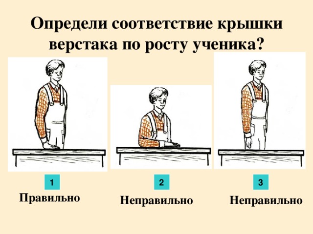 Определи соответствие крышки верстака по росту ученика? 1 2 3 Правильно Неправильно Неправильно