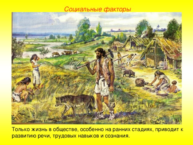 Социальные факторы Только жизнь в обществе, особенно на ранних стадиях, приводит к развитию речи, трудовых навыков и сознания.  