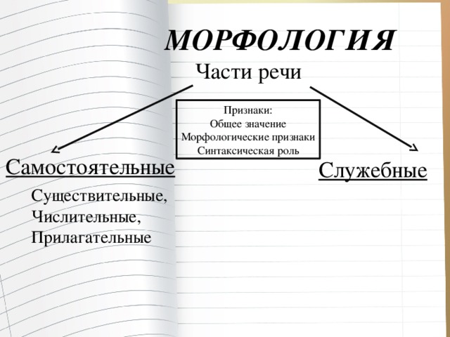 МОРФОЛОГИЯ Части речи Признаки: Общее значение Морфологические признаки Синтаксическая роль Самостоятельные  Служебные  Существительные, Числительные, Прилагательные
