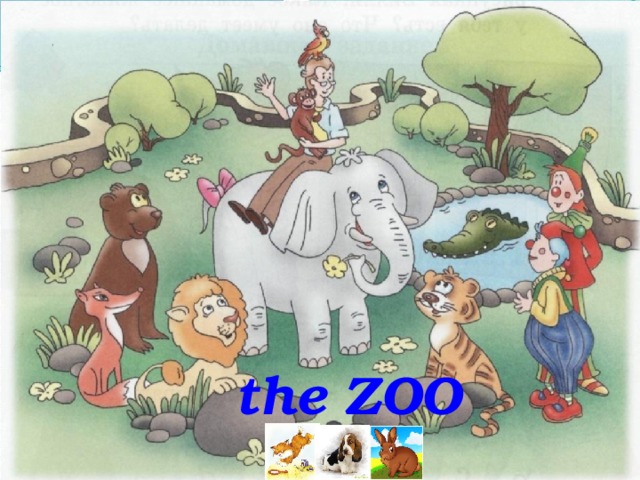  the ZOO  