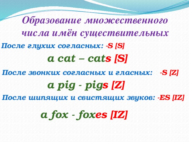 Образование множественного числа имён существительных После глухих согласных: -S [S] a cat – cat s [S] После звонких согласных и гласных: -S [Z] a pig - pig s [Z] После шипящих и свистящих звуков: -ES [IZ] a fox - fox es [IZ] 
