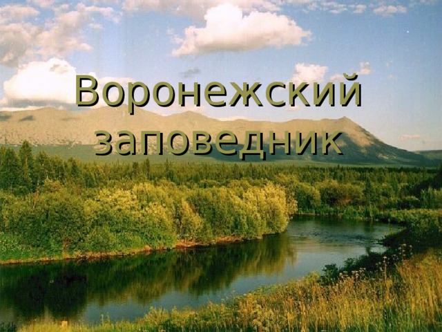 Воронежский заповедник 