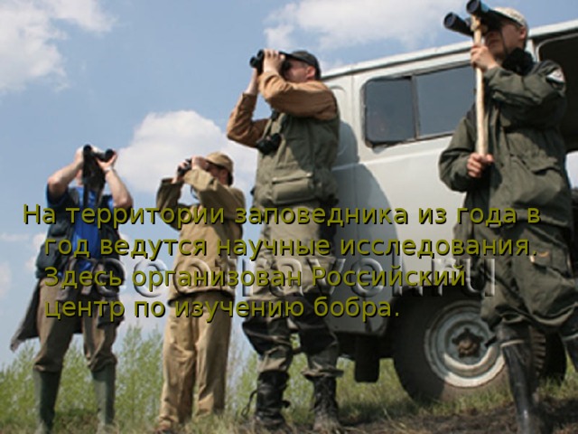 На территории заповедника из года в год ведутся научные исследования. Здесь организован Российский центр по изучению бобра. 
