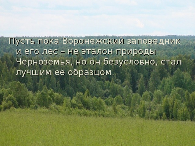 Пусть пока Воронежский заповедник и его лес – не эталон природы Черноземья, но он безусловно, стал лучшим её образцом. 