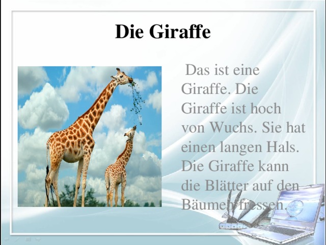 Die Giraffe  Das ist eine Giraffe. Die Giraffe ist hoch von Wuchs. Sie hat einen langen Hals. Die Giraffe kann die Blätter auf den Bäumen fressen.