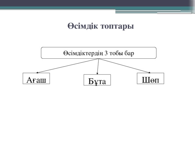 Өсімдік топтары Өсімдіктердің 3 тобы бар Ағаш Шөп Бұта 