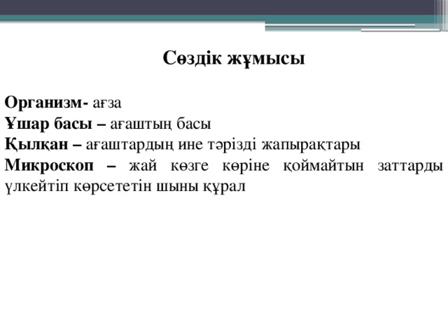 Сөздік жұмысы Организм- ағза Ұшар басы – ағаштың басы Қылқан – ағаштардың ине тәрізді жапырақтары Микроскоп – жай көзге көріне қоймайтын заттарды үлкейтіп көрсететін шыны құрал 