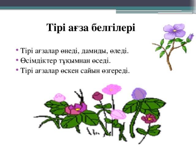 Тірі ағза белгілері Тірі ағзалар өнеді, дамиды, өледі. Өсімдіктер тұқымнан өседі. Тірі ағзалар өскен сайын өзгереді. 