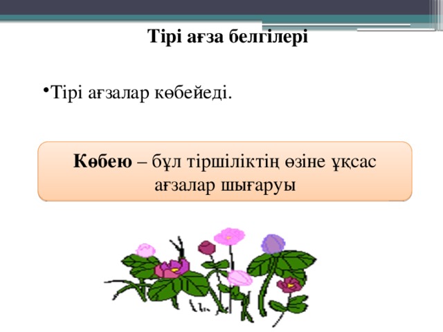Тірі ағза белгілері Тірі ағзалар көбейеді. Көбею – бұл тіршіліктің өзіне ұқсас ағзалар шығаруы 
