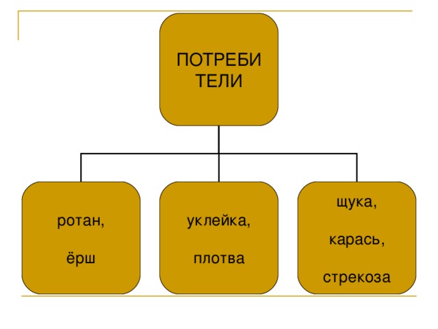 ПОТРЕБИ  ТЕЛИ ротан, ёрш уклейка, плотва щука, карась, стрекоза 