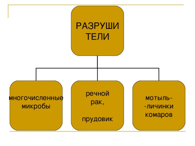 РАЗРУШИ  ТЕЛИ многочисленные микробы речной рак, прудовик мотыль- -личинки комаров 