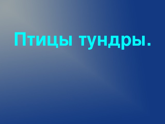  Птицы тундры.  