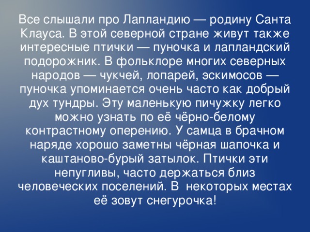 Все слышали про Лапландию — родину Санта Клауса. В этой северной стране живут также интересные птички — пуночка и лапландский подорожник. В фольклоре многих северных народов — чукчей, лопарей, эскимосов — пуночка упоминается очень часто как добрый дух тундры. Эту маленькую пичужку легко можно узнать по её чёрно-белому контрастному оперению. У самца в брачном наряде хорошо заметны чёрная шапочка и каштаново-бурый затылок. Птички эти непугливы, часто держаться близ человеческих поселений. В некоторых местах её зовут снегурочка!  