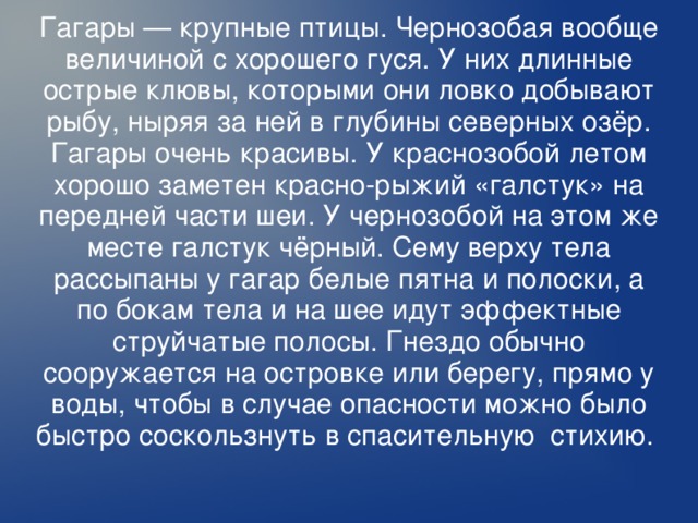 Гагары — крупные птицы. Чернозобая вообще величиной с хорошего гуся. У них длинные острые клювы, которыми они ловко добывают рыбу, ныряя за ней в глубины северных озёр. Гагары очень красивы. У краснозобой летом хорошо заметен красно-рыжий «галстук» на передней части шеи. У чернозобой на этом же месте галстук чёрный. Сему верху тела рассыпаны у гагар белые пятна и полоски, а по бокам тела и на шее идут эффектные струйчатые полосы. Гнездо обычно сооружается на островке или берегу, прямо у воды, чтобы в случае опасности можно было быстро соскользнуть в спасительную стихию.  