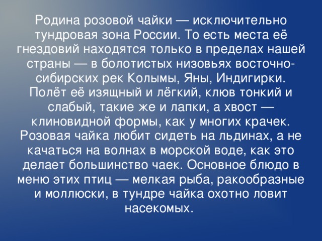 Родина розовой чайки — исключительно тундровая зона России. То есть места её гнездовий находятся только в пределах нашей страны — в болотистых низовьях восточно-сибирских рек Колымы, Яны, Индигирки. Полёт её изящный и лёгкий, клюв тонкий и слабый, такие же и лапки, а хвост — клиновидной формы, как у многих крачек. Розовая чайка любит сидеть на льдинах, а не качаться на волнах в морской воде, как это делает большинство чаек. Основное блюдо в меню этих птиц — мелкая рыба, ракообразные и моллюски, в тундре чайка охотно ловит насекомых.  