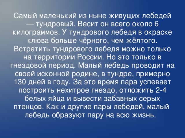 Самый маленький из ныне живущих лебедей — тундровый. Весит он всего около 6 килограммов. У тундрового лебедя в окраске клюва больше чёрного, чем жёлтого. Встретить тундрового лебедя можно только на территории России. Но это только в гнездовой период. Малый лебедь проводит на своей исконной родине, в тундре, примерно 130 дней в году. За это время пара успевает построить нехитрое гнездо, отложить 2-4 белых яйца и вывести забавных серых птенцов. Как и другие пары лебедей, малый лебедь образуют пару на всю жизнь.  