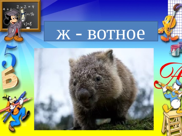 ж - вотное 