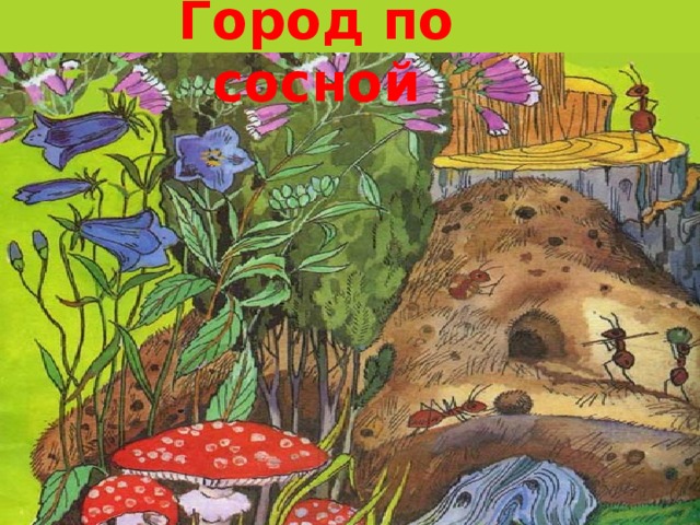 Город по сосной