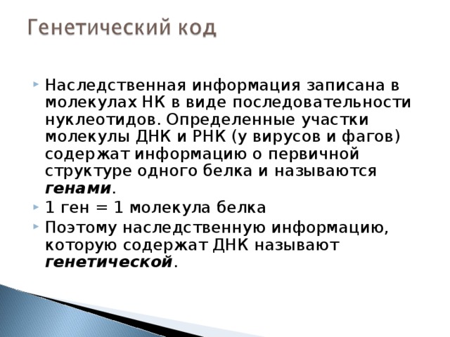 Наследственная информация записана в молекулах НК в виде последовательности нуклеотидов. Определенные участки молекулы ДНК и РНК (у вирусов и фагов) содержат информацию о первичной структуре одного белка и называются генами . 1 ген = 1 молекула белка Поэтому наследственную информацию, которую содержат ДНК называют генетической . 