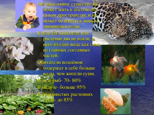 Ни одно живое существо не может жить в абсолютно сухом пространстве и не может оставаться живым, лишившись воды. Какое бы животное или растение мы не взяли, в него входит вода как одна из главных составных частей. Обитатели водоёмов содержат в себе больше воды, чем жители суши. В теле рыб- 70- 80% В медузе- больше 95% В травянистых растениях суши- до 85%