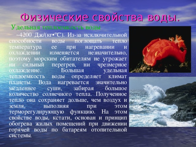 Физические свойства воды.  Удельная теплоемкость воды   ~4200 Дж/(кг•°С). Из-за исключительной способности воды поглощать тепло температура ее при нагревании и охлаждении изменяется незначительно, поэтому морским обитателям не угрожает ни сильный перегрев, ни чрезмерное охлаждение. Большая удельная теплоемкость воды определяет климат планеты. Вода нагревается значительно медленнее суши, забирая большое количество солнечного тепла. Полученное тепло она сохраняет дольше, чем воздух и земля, выполняя при этом терморегулирующую функцию. На этом свойстве воды, кстати, основан и принцип обогрева жилых помещений при движении горячей воды по батареям отопительной системы .
