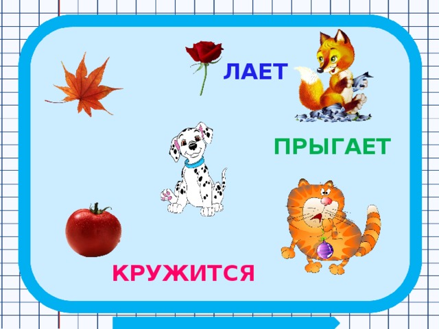 ЛАЕТ ПРЫГАЕТ КРУЖИТСЯ