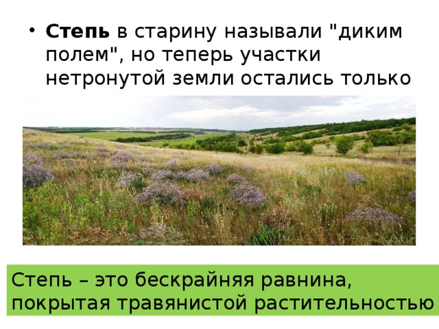 Степь в старину называли 