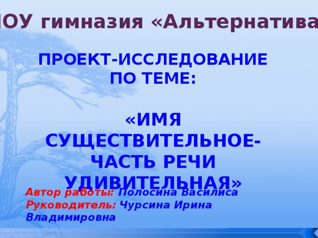 НОУ гимназия «Альтернатива» Проект-исследование По теме:  «Имя существительное-часть речи удивительная» Автор работы: Полосина Василиса Руководитель:  Чурсина Ирина Владимировна 