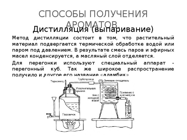 Способы получения ароматов. Дистилляция (выпаривание) Метод дистилляции состоит в том, что растительный материал подвергается термической обработке водой или паром под давлением. В результате смесь паров и эфирных масел конденсируется, а масляный слой отделяется. Для перегонки используют специальный аппарат - перегонный куб. Так же широкое распространение получило и другое его название «аламбик» 