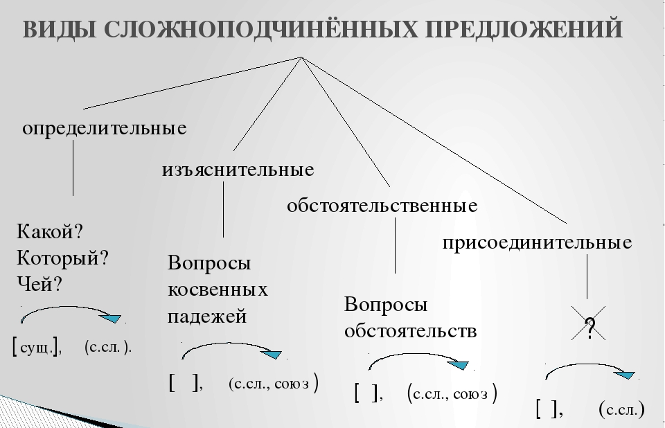125 составьте сложноподчиненные предложения с придаточными определительными по следующим схемам