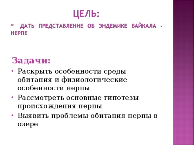 Задачи: Раскрыть особенности среды обитания и физиологические особенности нерпы Рассмотреть основные гипотезы происхождения нерпы Выявить проблемы обитания нерпы в озере  