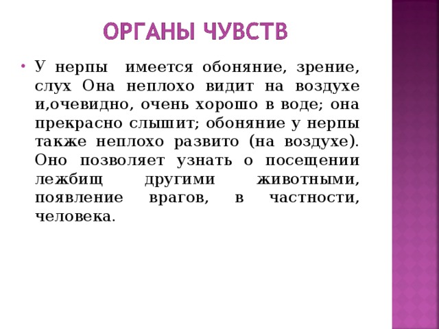 У нерпы имеется обоняние, зрение, слух Она неплохо видит на воздухе и,очевидно, очень хорошо в воде; она прекрасно слышит; обоняние у нерпы также неплохо развито (на воздухе). Оно позволяет узнать о посещении лежбищ другими животными, появление врагов, в частности, человека. 