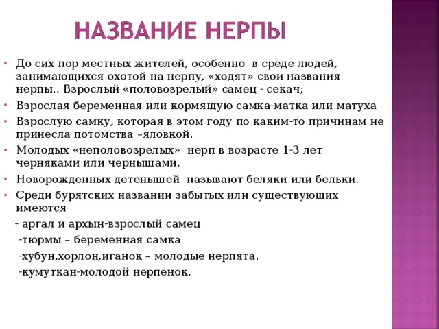 До сих пор местных жителей, особенно в среде людей, занимающихся охотой на нерпу, «ходят» свои названия нерпы.. Взрослый «половозрелый» самец - секач; Взрослая беременная или кормящую самка-матка или матуха Взрослую самку, которая в этом году по каким-то причинам не принесла потомства –яловкой. Молодых «неполовозрелых» нерп в возрасте 1-3 лет черняками или чернышами. Новорожденных детенышей называют беляки или бельки. Среди бурятских названии забытых или существующих имеются  - аргал и архын-взрослый самец  -тюрмы – беременная самка  -хубун,хорлон,иганок – молодые нерпята.  -кумуткан-молодой нерпенок. 