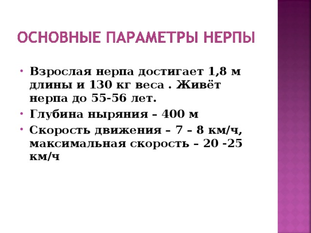 Взрослая нерпа достигает 1,8 м длины и 130 кг веса . Живёт нерпа до 55-56 лет. Глубина ныряния – 400 м Скорость движения – 7 – 8 км/ч, максимальная скорость – 20 -25 км/ч  