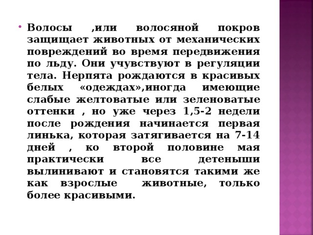 Волосы ,или волосяной покров защищает животных от механических повреждений во время передвижения по льду. Они учувствуют в регуляции тела. Нерпята рождаются в красивых белых «одеждах»,иногда имеющие слабые желтоватые или зеленоватые оттенки , но уже через 1,5-2 недели после рождения начинается первая линька, которая затягивается на 7-14 дней , ко второй половине мая практически все детеныши вылинивают и становятся такими же как взрослые животные, только более красивыми. 