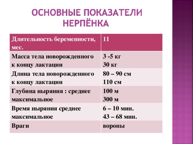 Длительность беременности, мес. 11 Масса тела новорожденного к концу лактации 3 -5 кг 30 кг Длина тела новорожденного к концу лактации 80 – 90 см 110 см Глубина ныряния : среднее максимальное 100 м 300 м Время ныряния среднее максимальное 6 – 10 мин. 43 – 68 мин. Враги вороны 