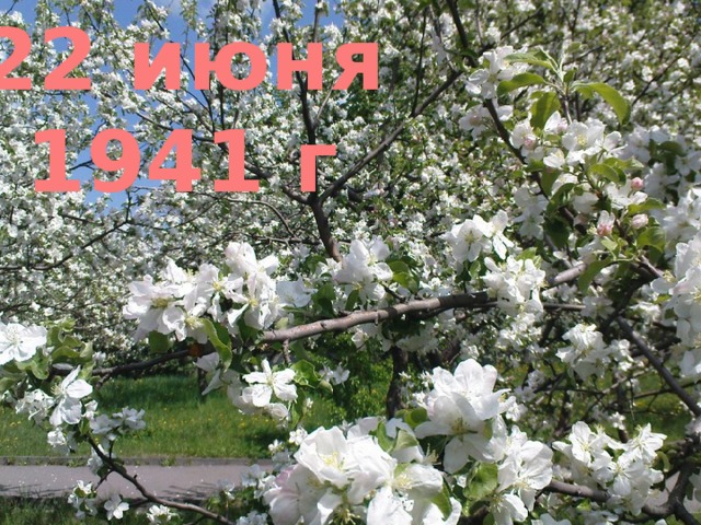 22 июня 1941 г