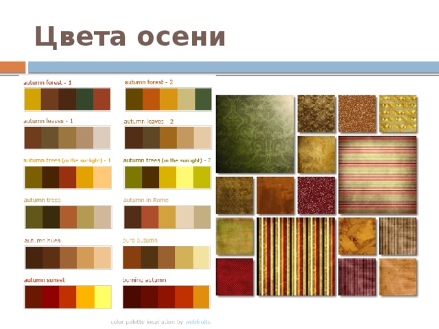 Цвета осени 