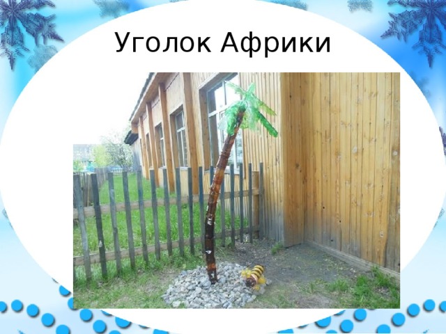 Уголок Африки 