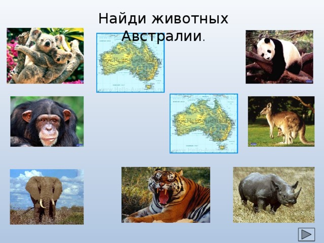 Найди животных Австралии . 