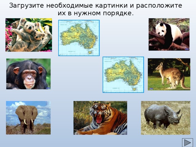 Загрузите необходимые картинки и расположите их в нужном порядке. 