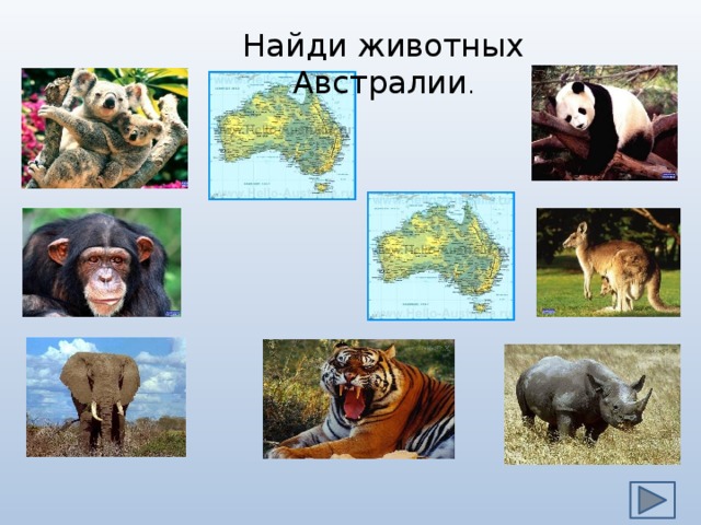 Найди животных Австралии . 
