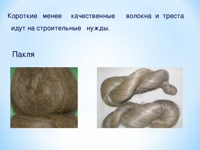 Короткие менее качественные волокна и треста  идут на строительные нужды. Пакля 29