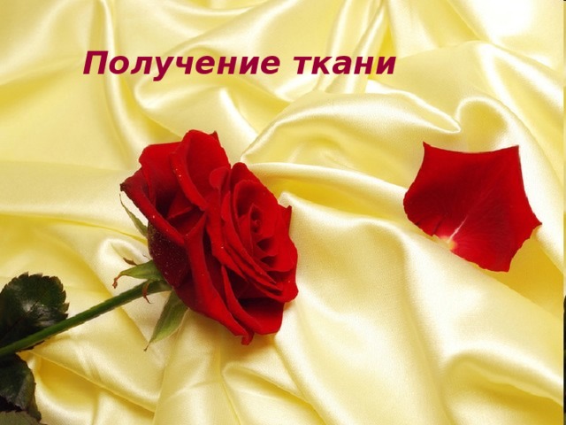 Получение ткани