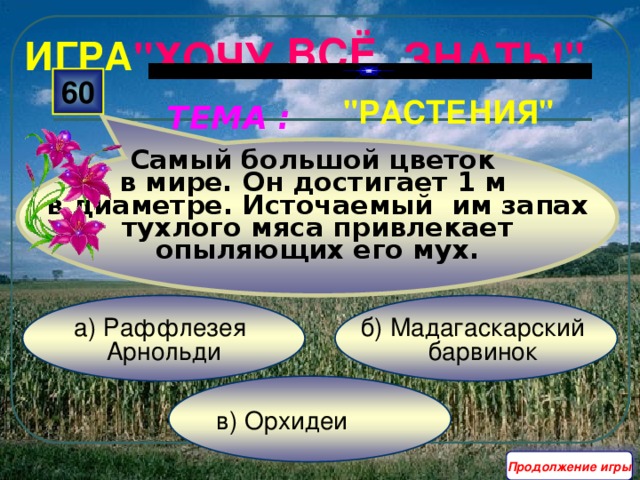 Самый большой цветок в мире. Он достигает 1 м в диаметре. Источаемый им запах тухлого мяса привлекает опыляющих его мух. ВСЁ ИГРА 