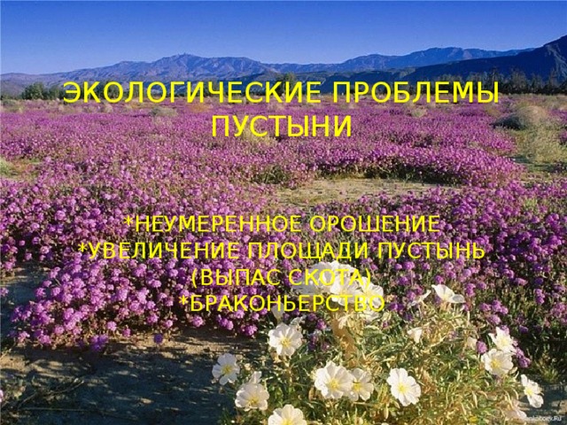 Экологические проблемы пустыни    *неумеренное орошение  *увеличение площади пустынь (выпас скота)  *браконьерство    