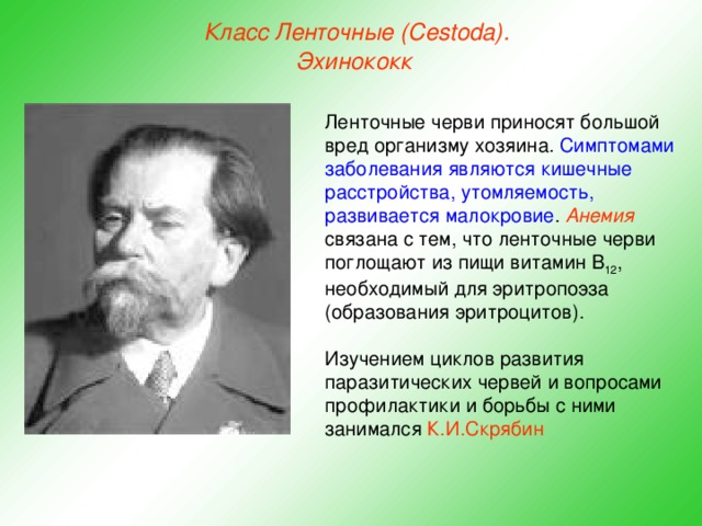 Класс Ленточные (Cestoda). Эхинококк  Ленточные черви приносят большой вред организму хозяина. Симптомами заболевания являются кишечные расстройства, утомляемость, развивается малокровие . Анемия связана с тем, что ленточные черви поглощают из пищи витамин В 12 , необходимый для эритропоэза (образования эритроцитов). Изучением циклов развития паразитических червей и вопросами профилактики и борьбы с ними занимался К.И.Скрябин  