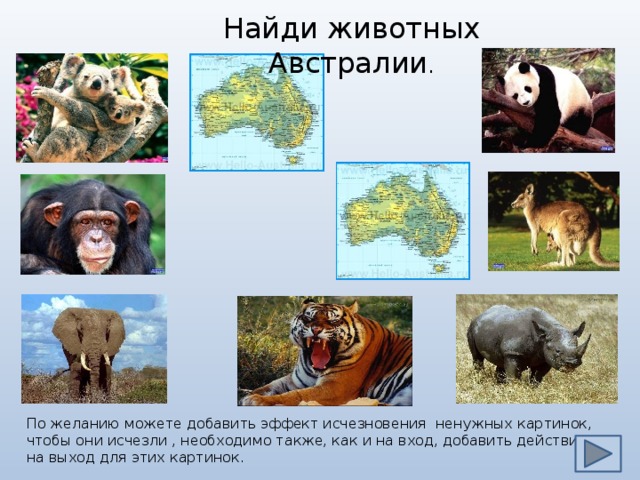 Найди животных Австралии . По желанию можете добавить эффект исчезновения ненужных картинок, чтобы они исчезли , необходимо также, как и на вход, добавить действие на выход для этих картинок.