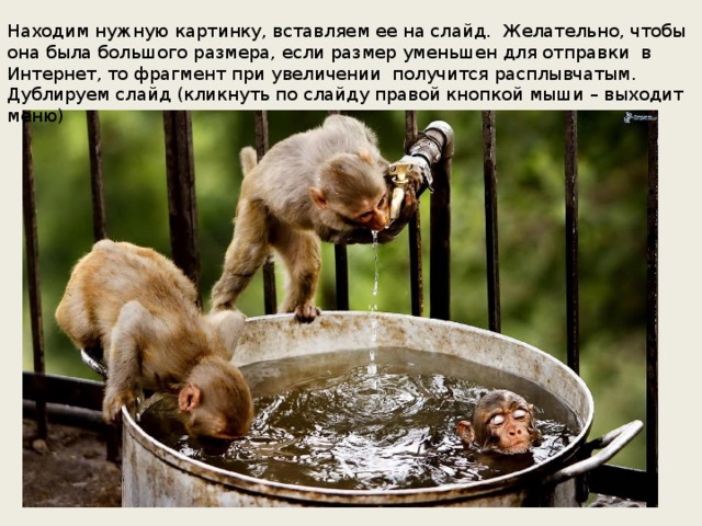 Находим нужную картинку, вставляем ее на слайд. Желательно, чтобы она была большого размера, если размер уменьшен для отправки в Интернет, то фрагмент при увеличении получится расплывчатым. Дублируем слайд (кликнуть по слайду правой кнопкой мыши – выходит меню)